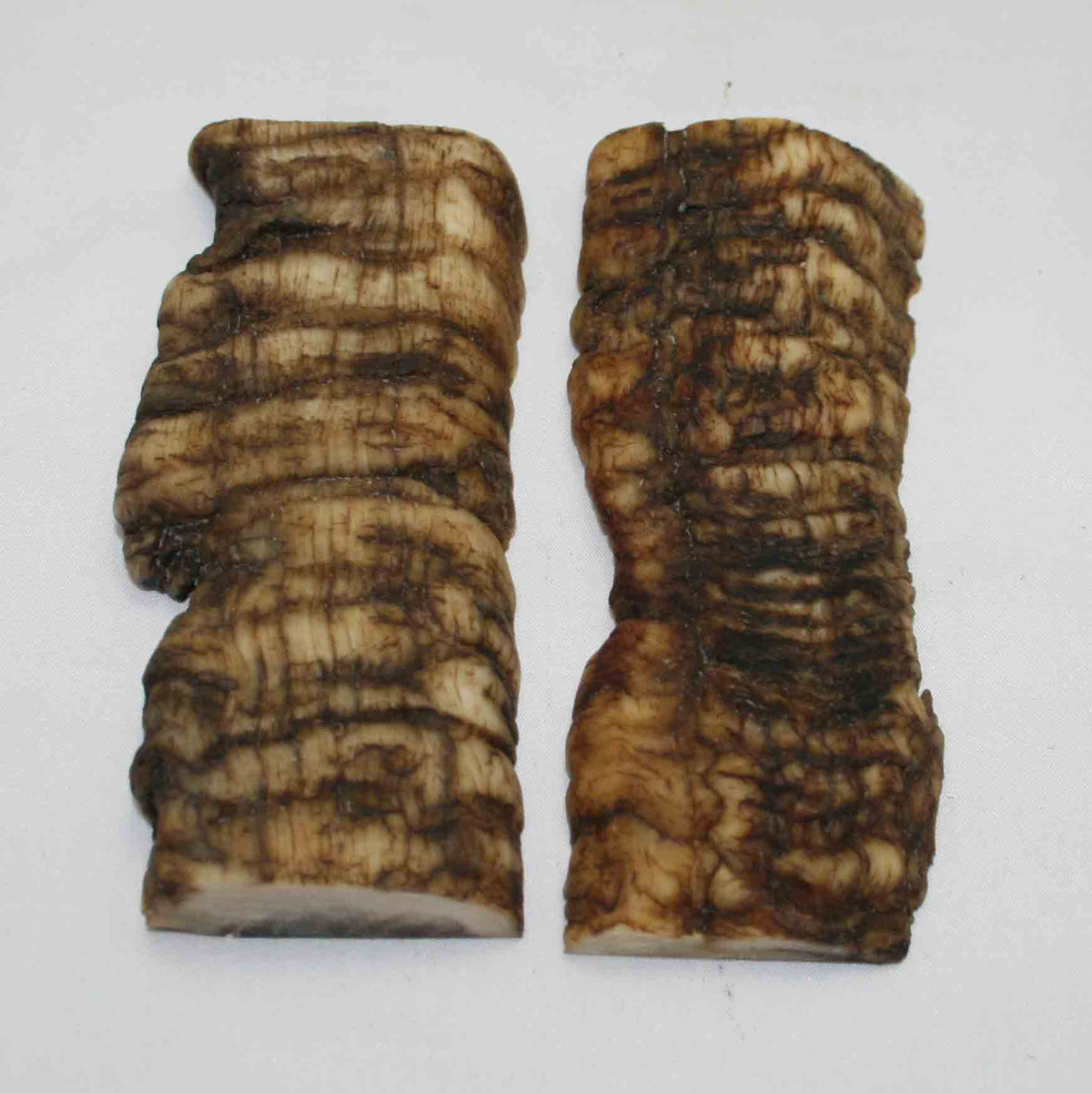 NB903MMA15 Merino Ram&#39;s Horn Flat Block Scales