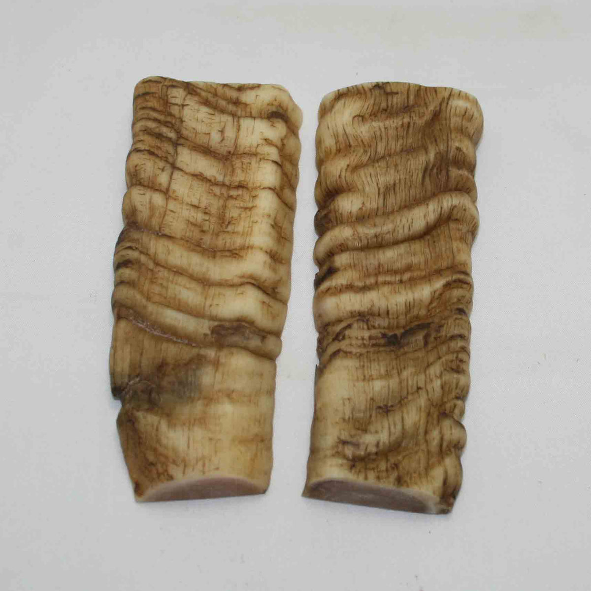 NB903MMA17 Merino Ram&#39;s Horn Flat Block Scales