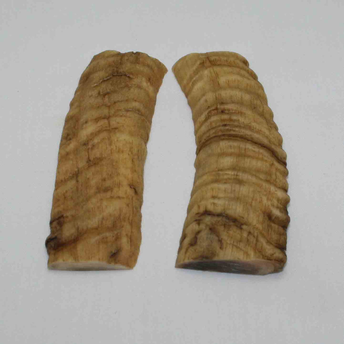 NB903MMA35 Merino Ram&#39;s Horn Flat Block Scales