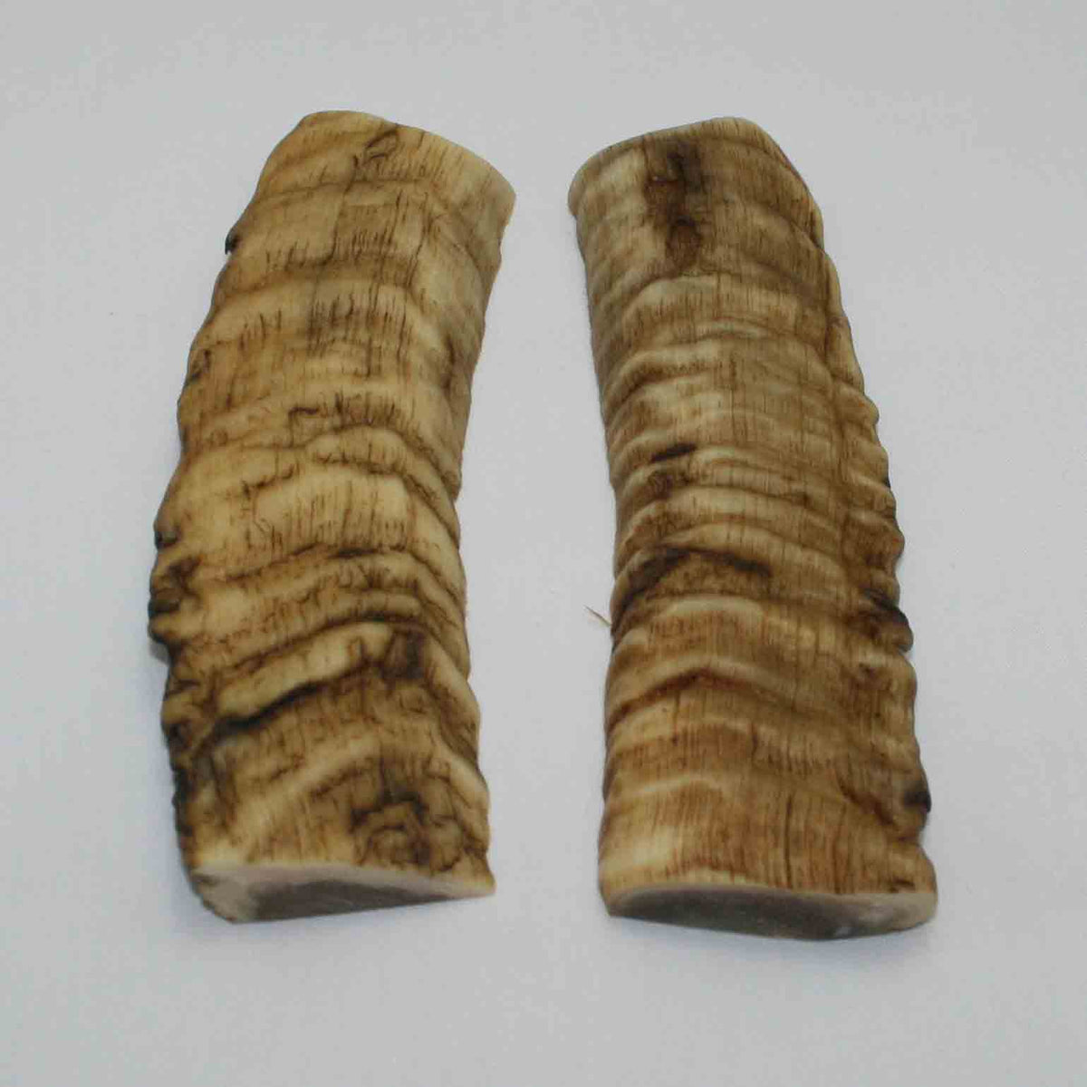 NB903MMA36 Merino Ram&#39;s Horn Flat Block Scales