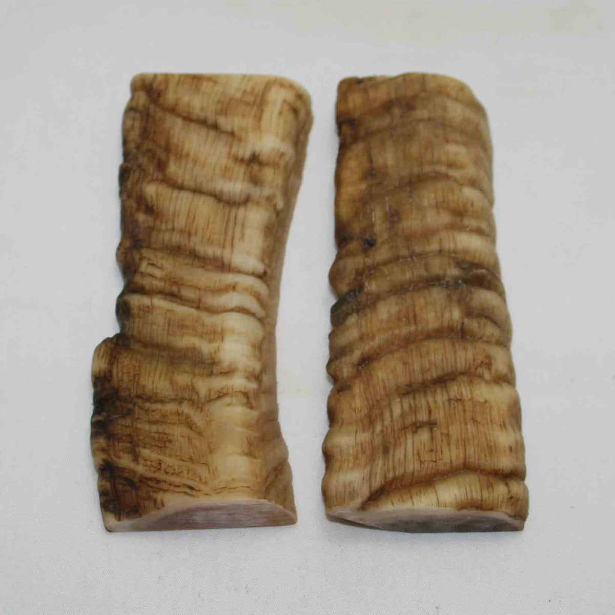 NB903MMA3 Merino Ram&#39;s Horn Flat Block Scales (