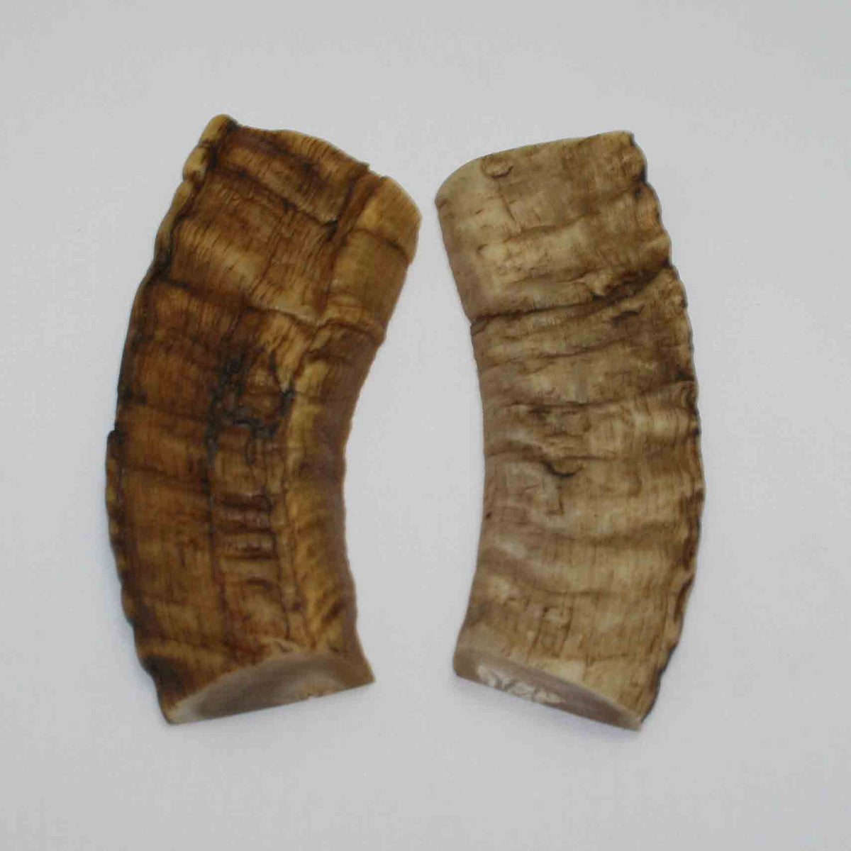 NB903MMA44 Merino Ram&#39;s Horn Flat Block Scales