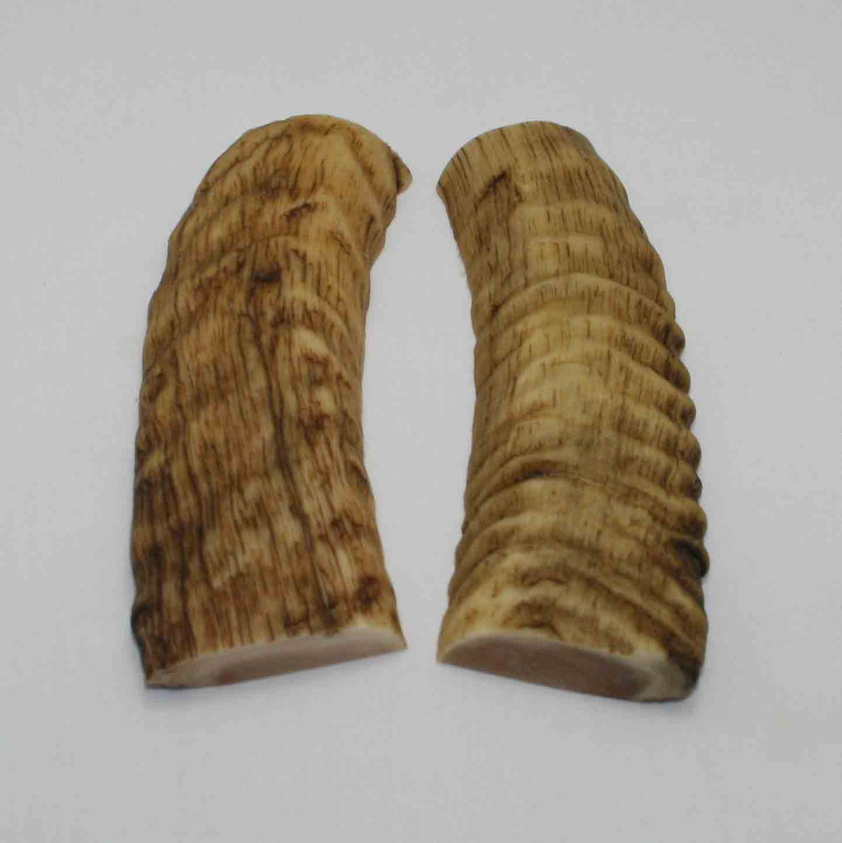 NB903MMA47 Merino Ram&#39;s Horn Flat Block Scales