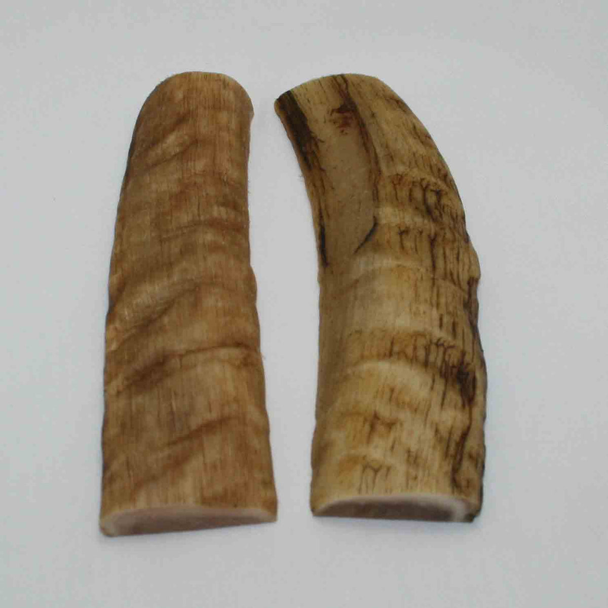 NB903MMA49 Merino Ram&#39;s Horn Flat Block Scales