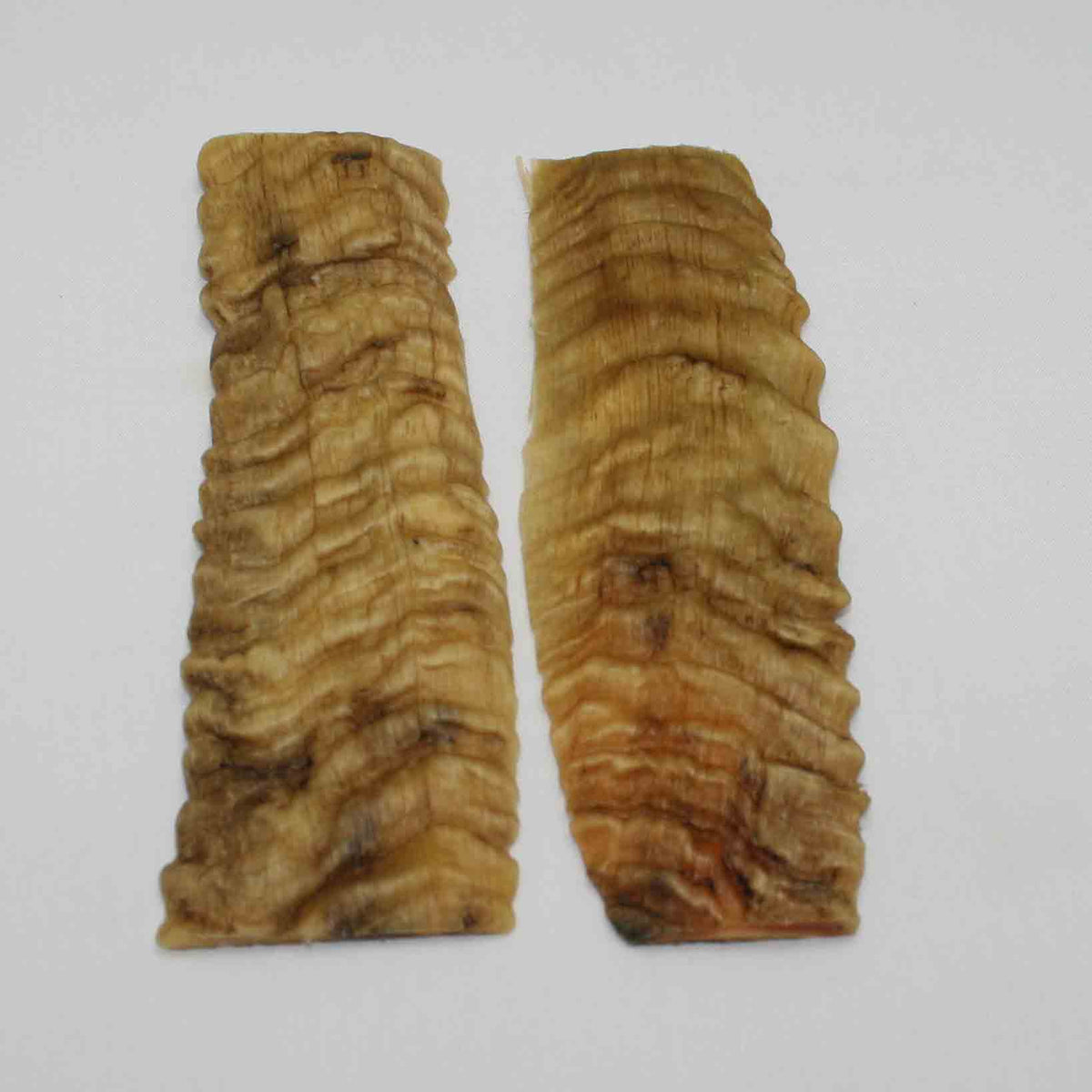 NB903MMA62 Merino Ram&#39;s Horn Flat Block Scales