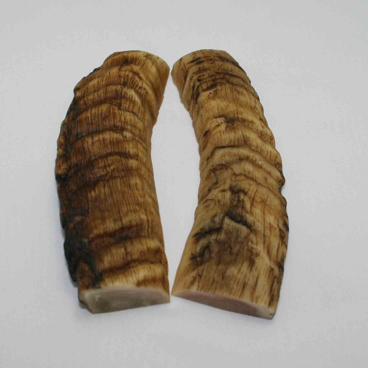 NB903MMA67 Merino Ram&#39;s Horn Flat Block Scales