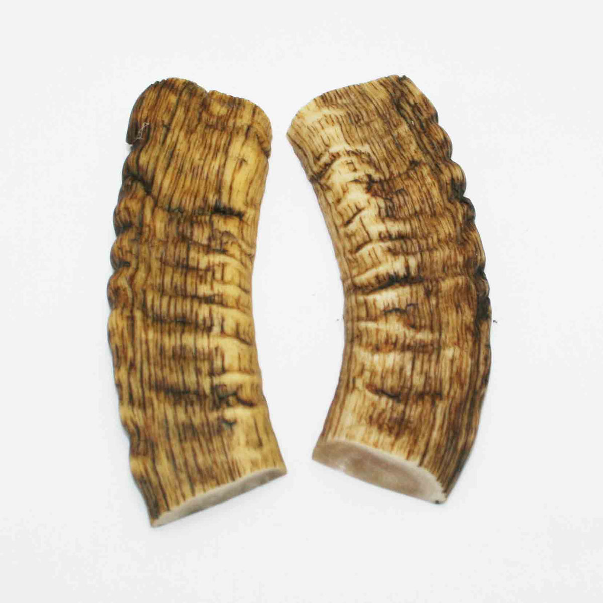 NB903MMA73 Merino Ram&#39;s Horn Flat Block Scales