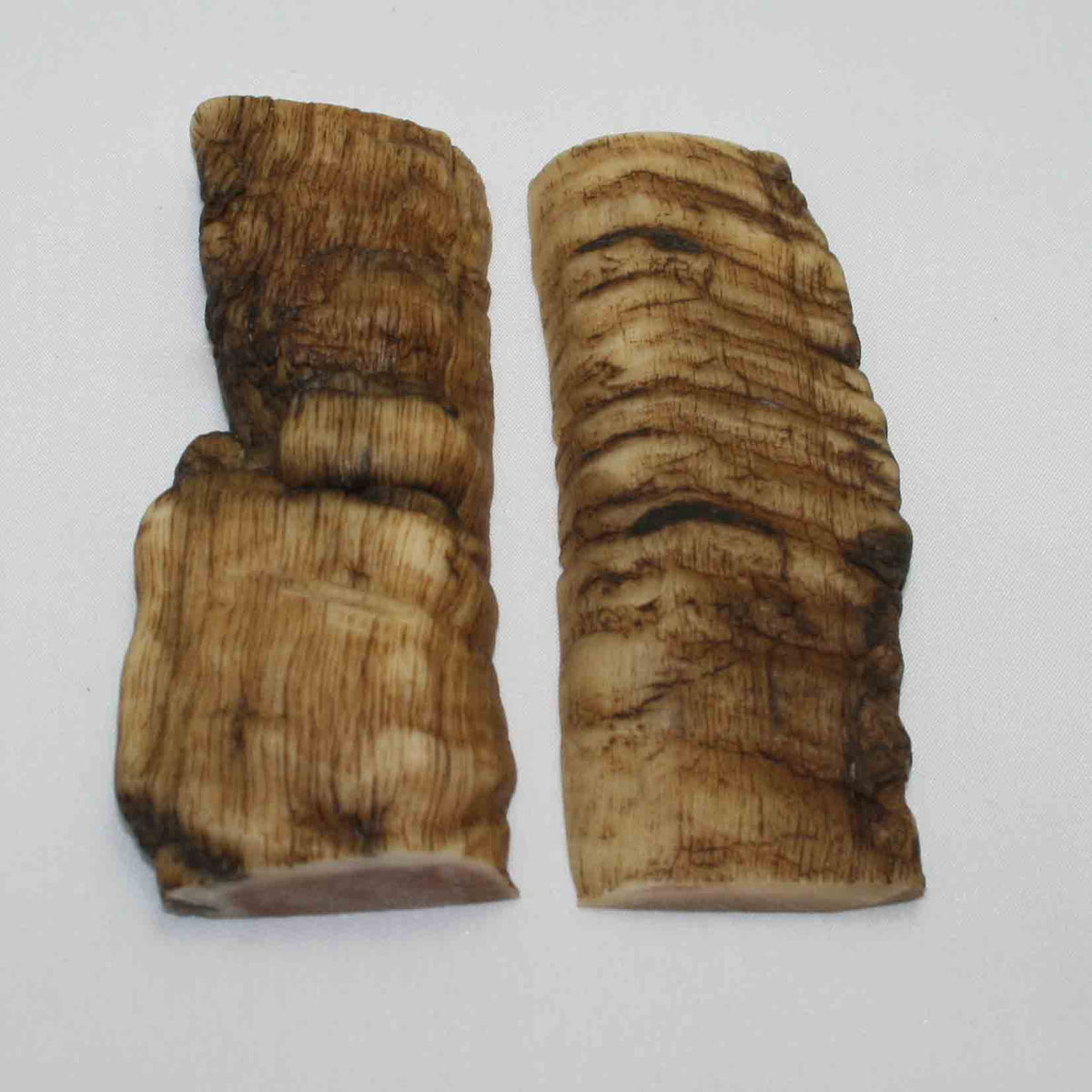 NB903MMA87 Merino Ram&#39;s Horn Flat Block Scales