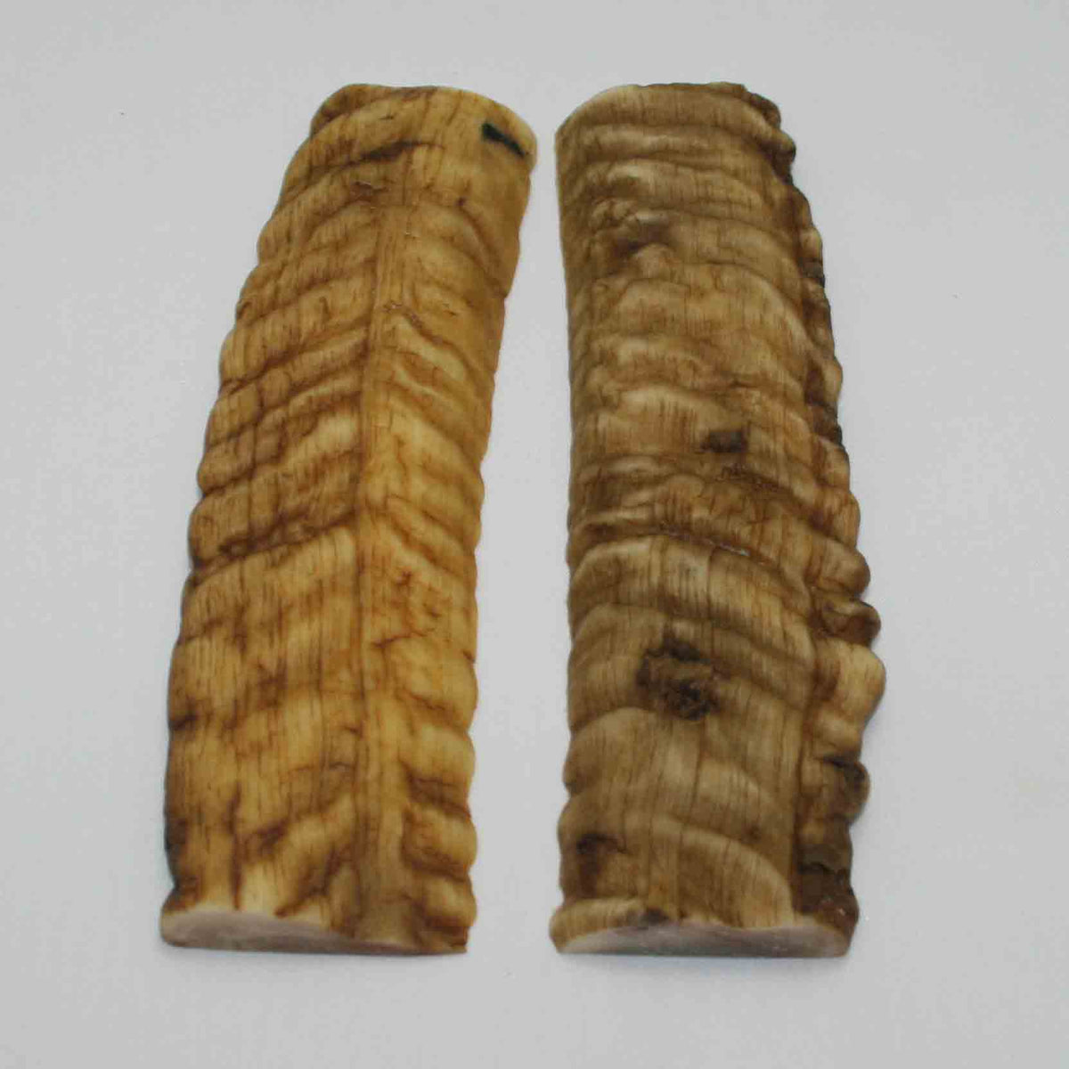 NB903MMA92 Merino Ram&#39;s Horn Flat Block Scales