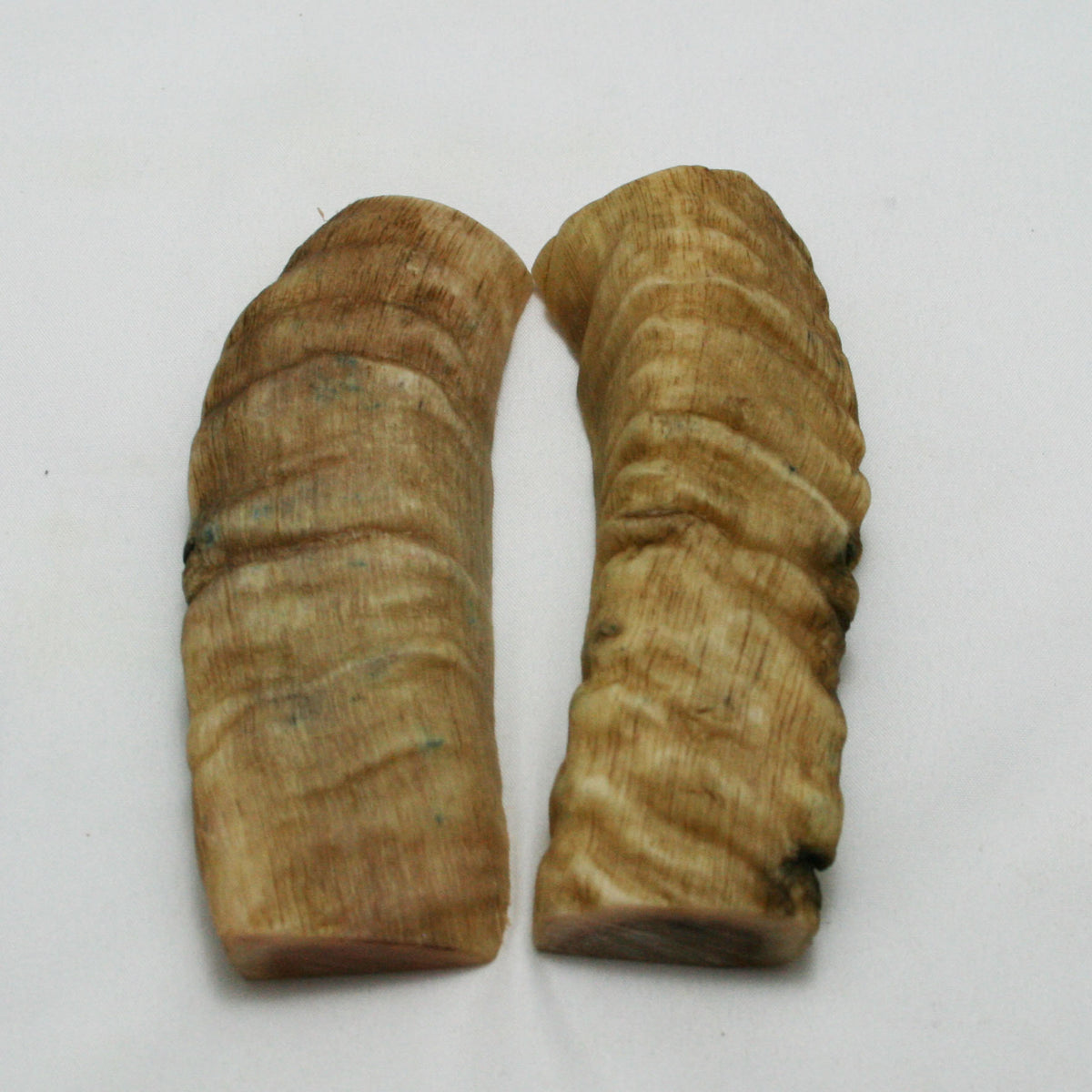 NB903NAM32 Merino Ram&#39;s Horn Flat Block Scales