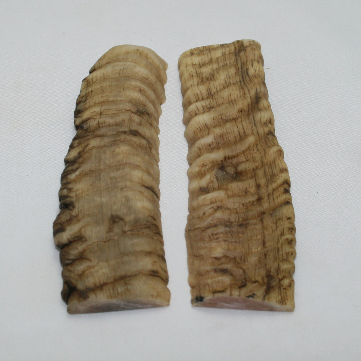 NB903NAM3 Merino Ram&#39;s Horn Flat Block Scales