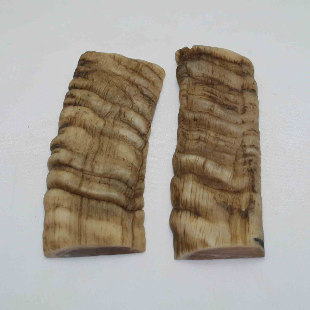 NB903NAM41 Merino Ram&#39;s Horn Flat Block Scales