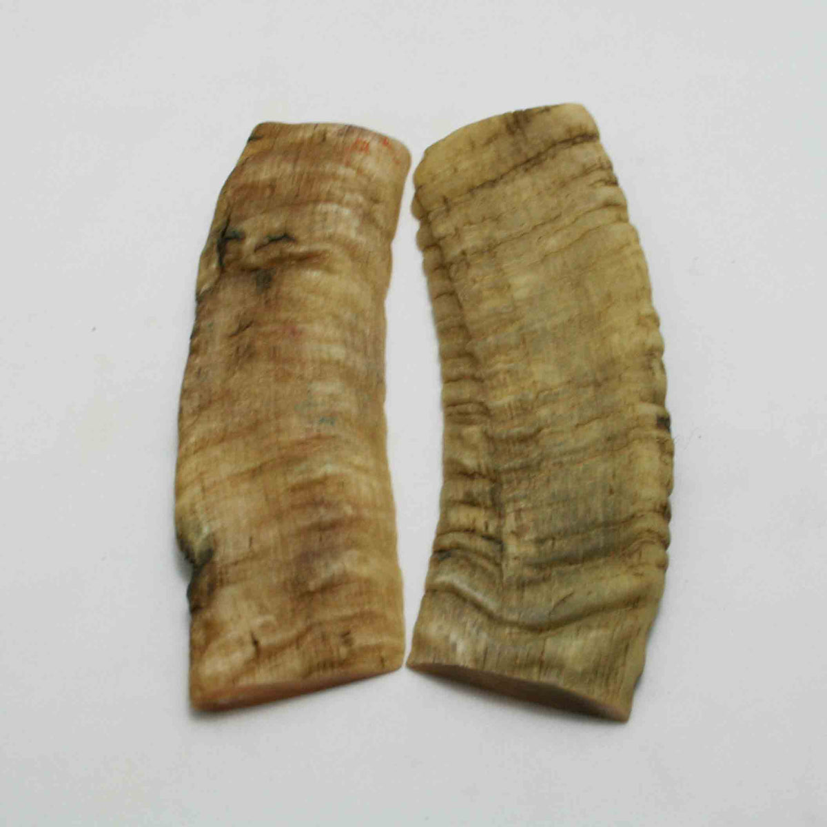 NB903NAM43 Merino Ram&#39;s Horn Flat Block Scales