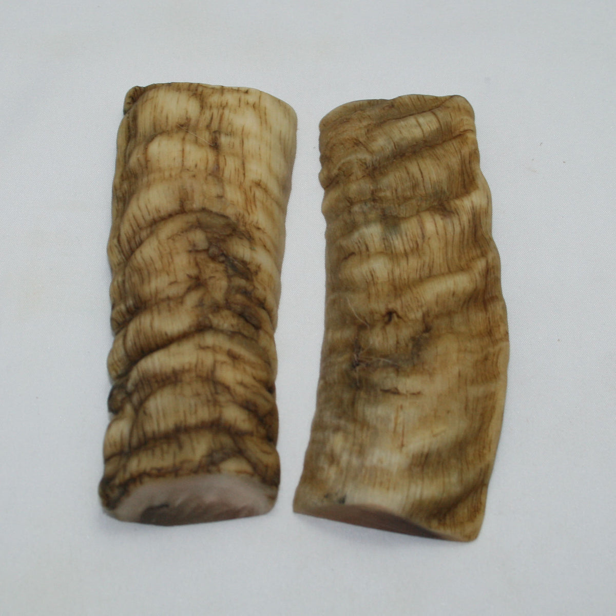 NB903NAM54 Merino Ram&#39;s Horn Flat Block Scales