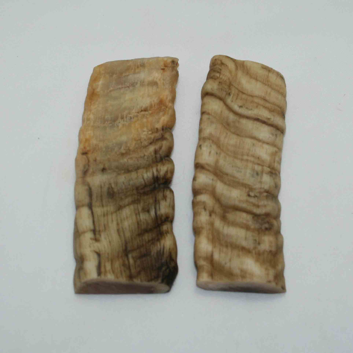 NB903NAM57 Merino Ram&#39;s Horn Flat Block Scales