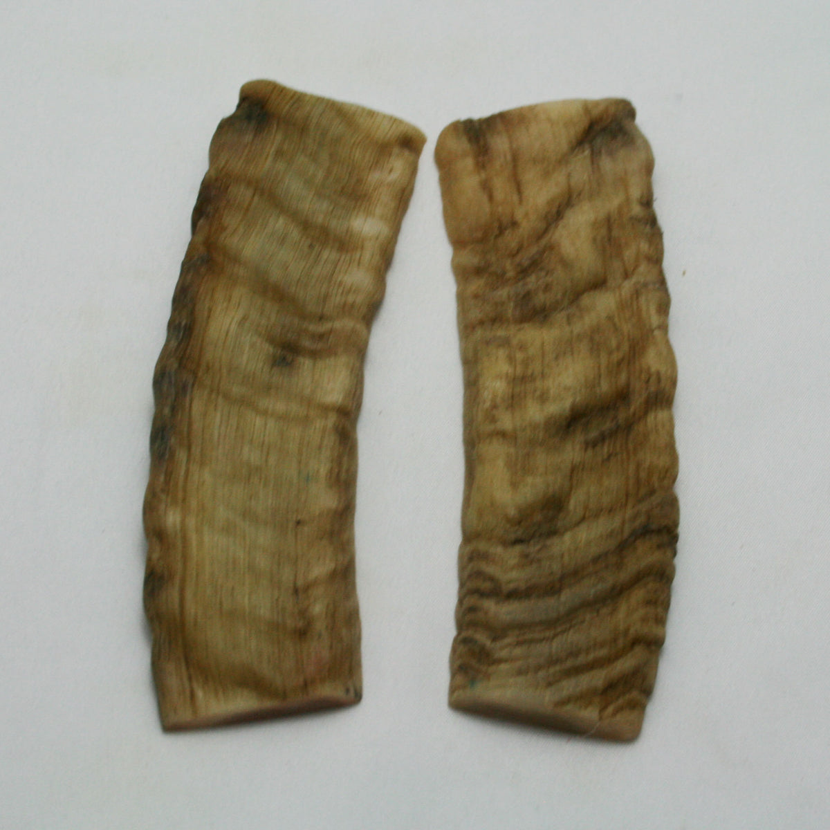 NB903NAM5 Merino Ram&#39;s Horn Flat Block Scales