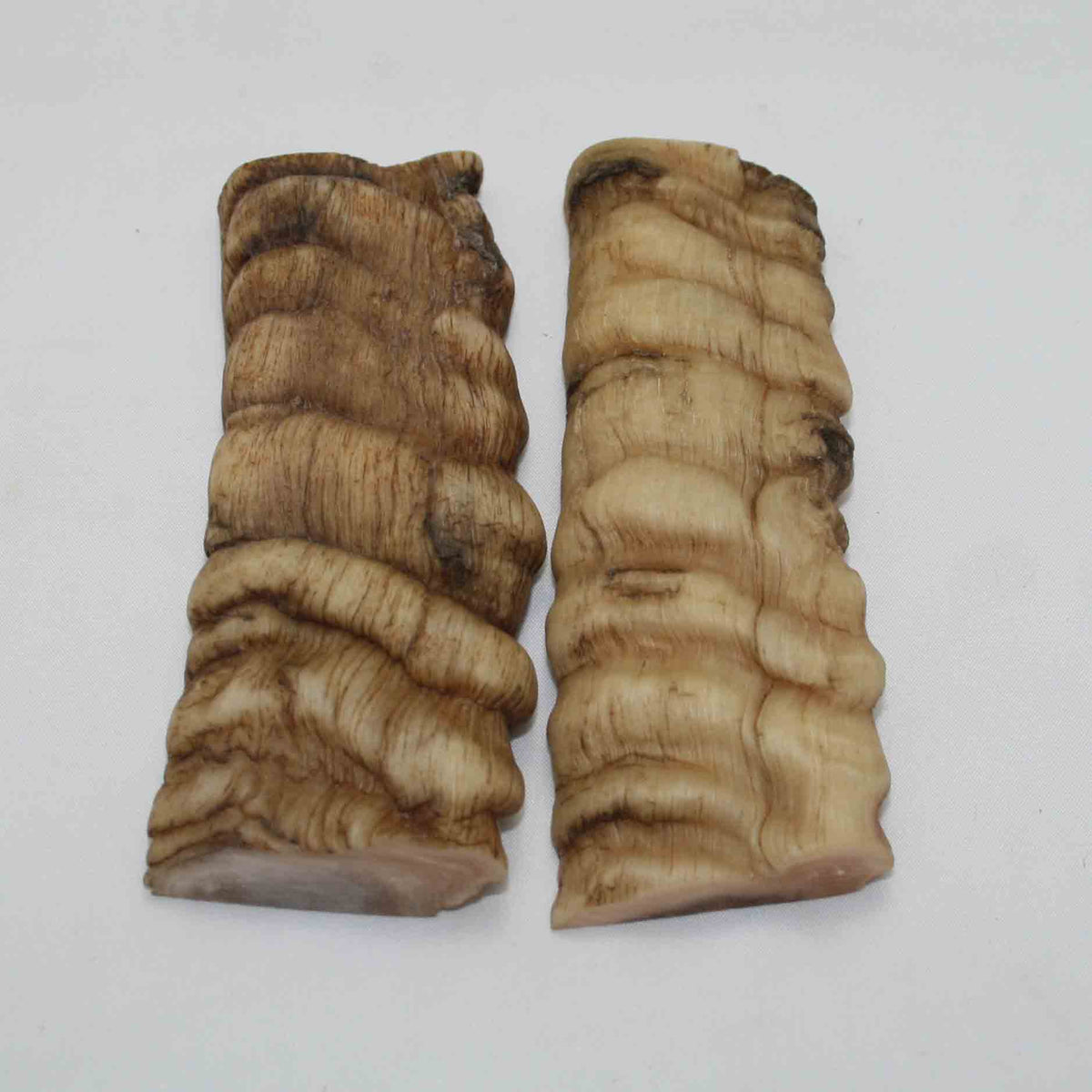 NB903NAM68 Merino Ram&#39;s Horn Flat Block Scales