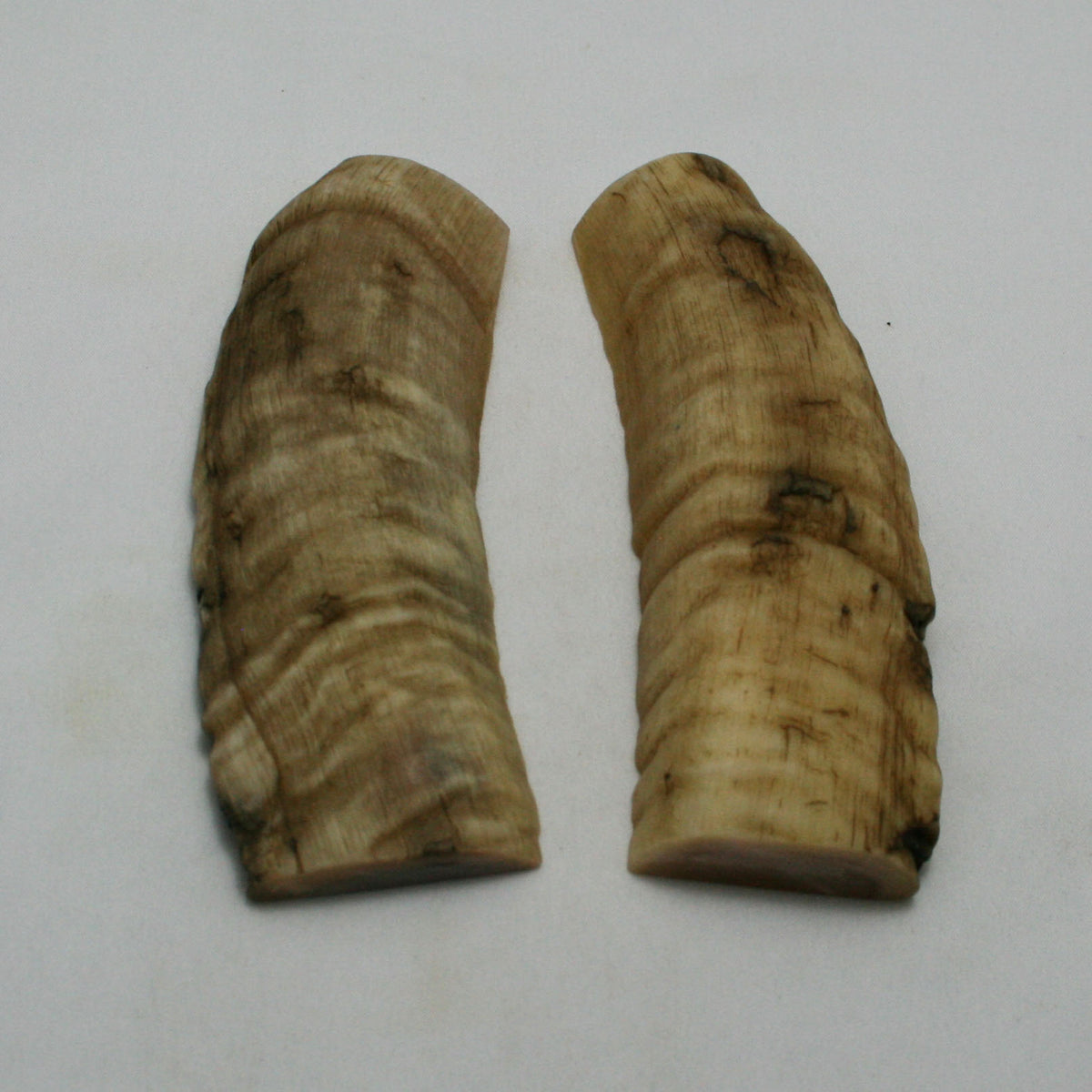 NB903NAM85 Merino Ram&#39;s Horn Flat Block Scales