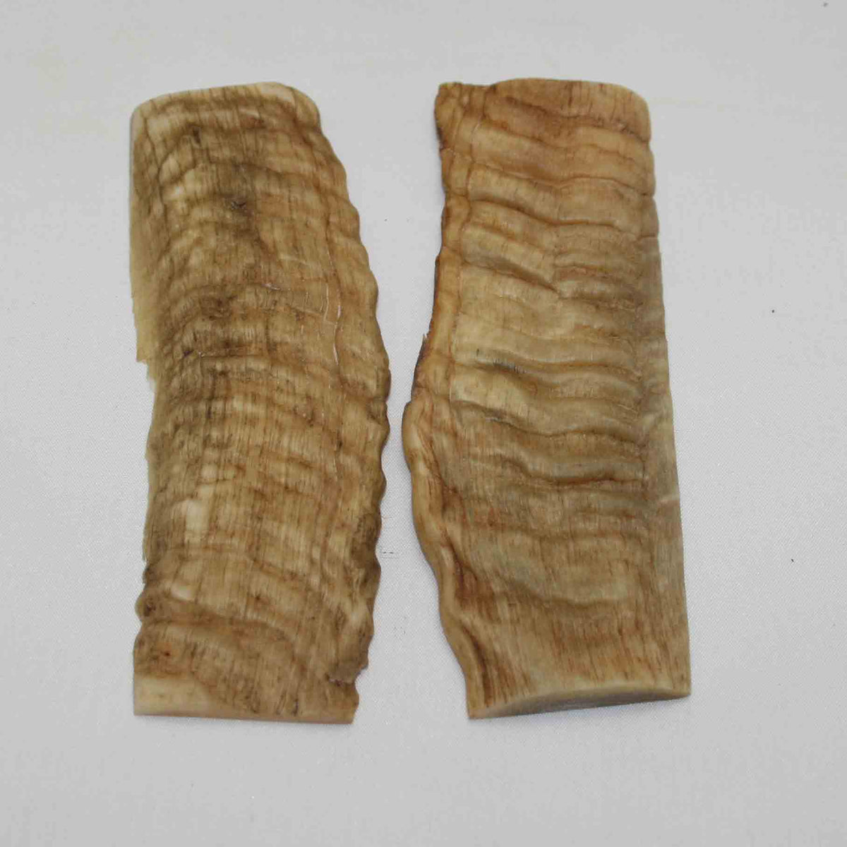 NB903NA19 Merino Ram's Horn Flat Block Scales Size: 5.14" x 1.69" x 0.31"inch