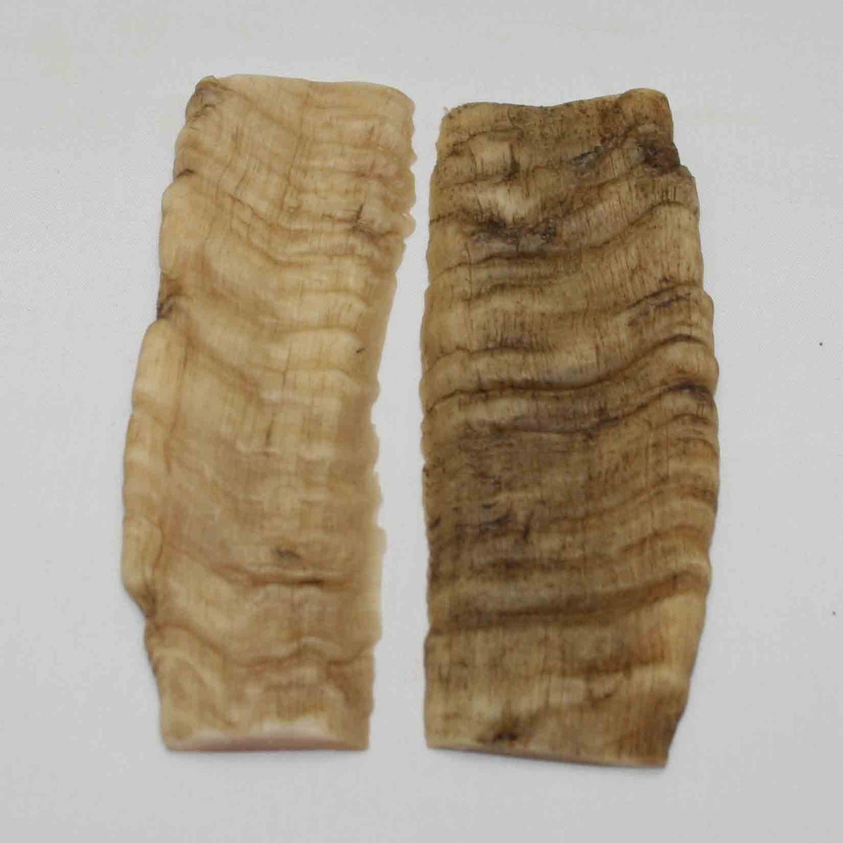 NB903NA23 Merino Ram's Horn Flat Block Scales Size: 5.14" x 1.93" x 0.23"inch