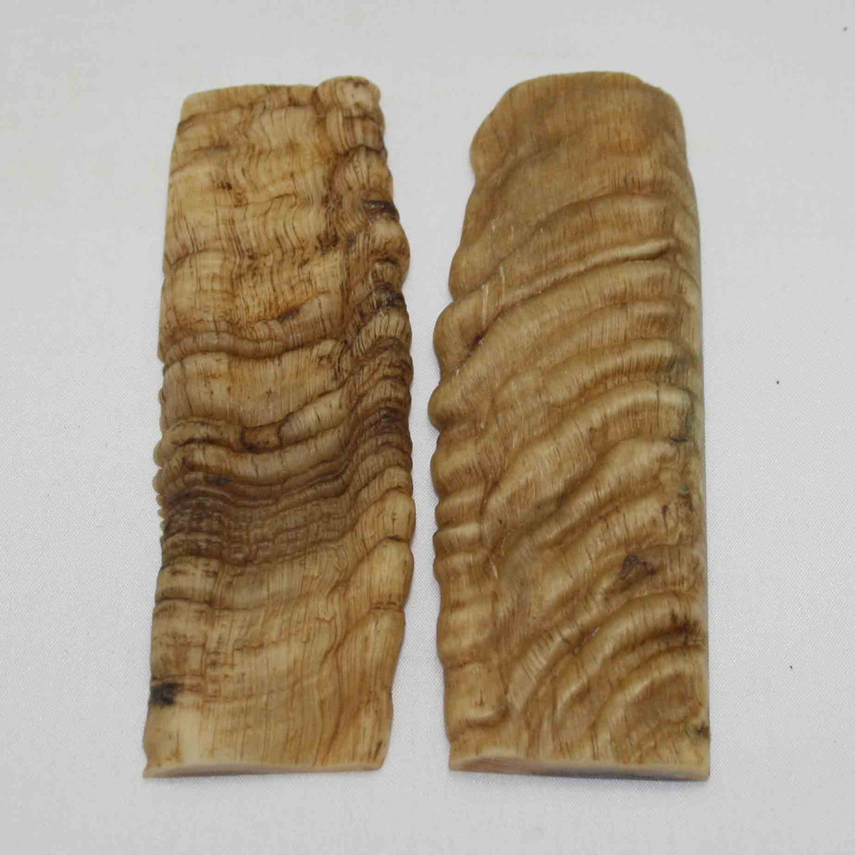 NB903NA31 Merino Ram's Horn Flat Block Scales Size: 5.18" x 1.70" x 0.23"inch