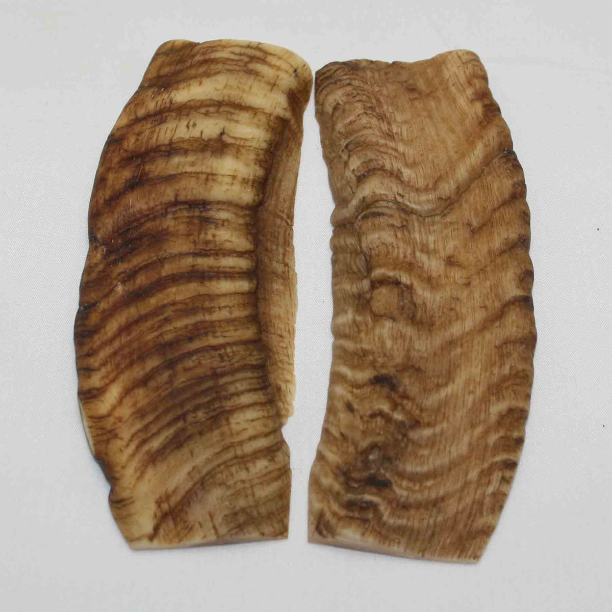 NB903NA32 Merino Ram's Horn Flat Block Scales Size: 5.23" x 1.55" x 0.21"inch