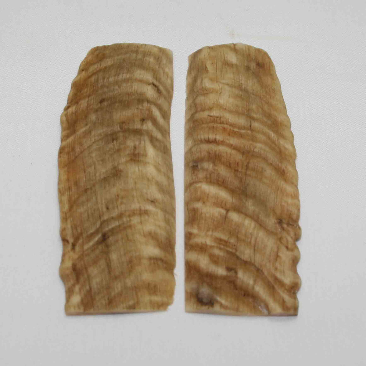 NB903NA63 Merino Ram's Horn Flat Block Scales Size: 5.18" x 1.65" x 0.16"inch