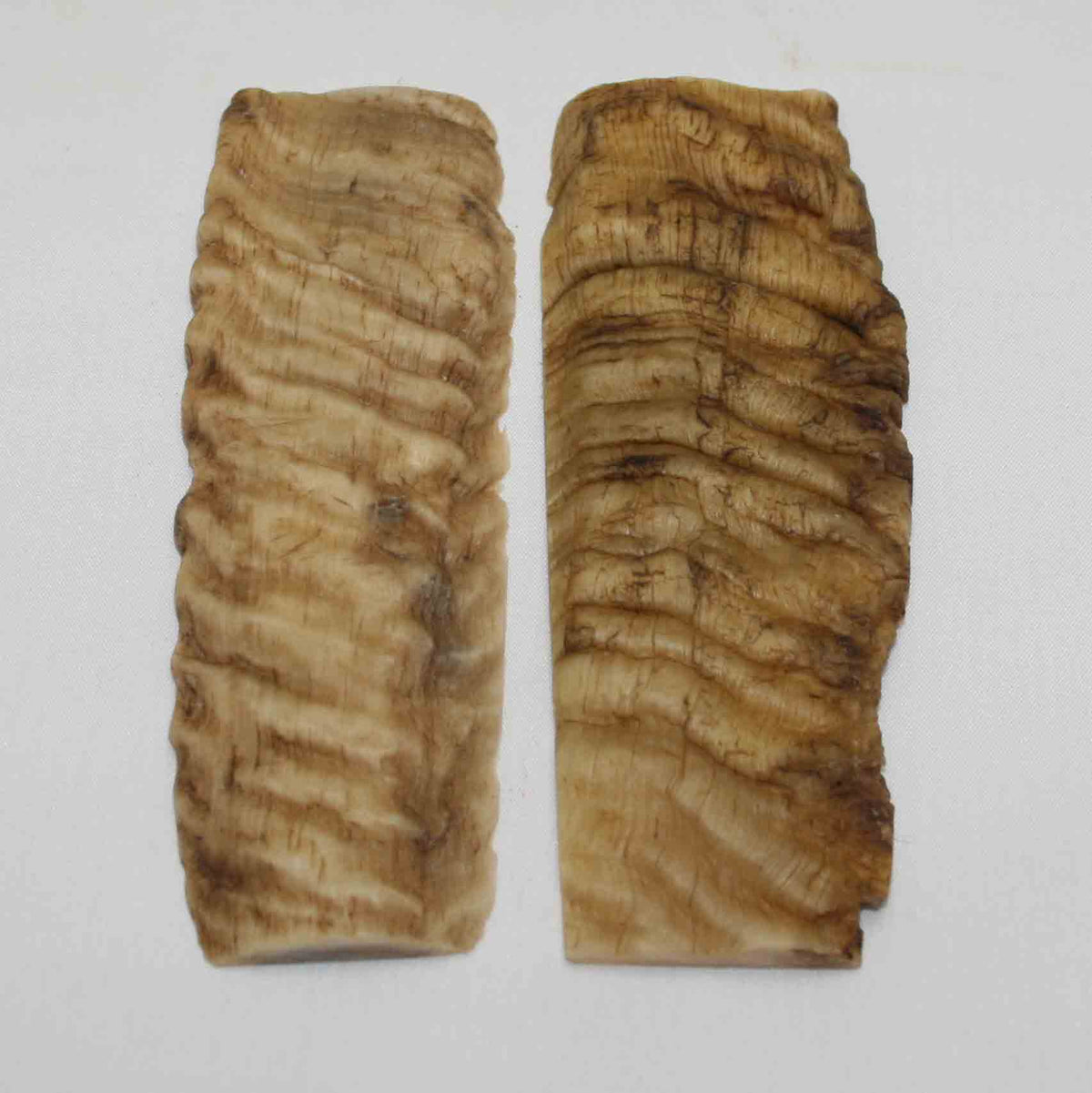NB903NA73 Merino Ram's Horn Flat Block Scales Size: 5.10" x 1.63" x 0.14"inch