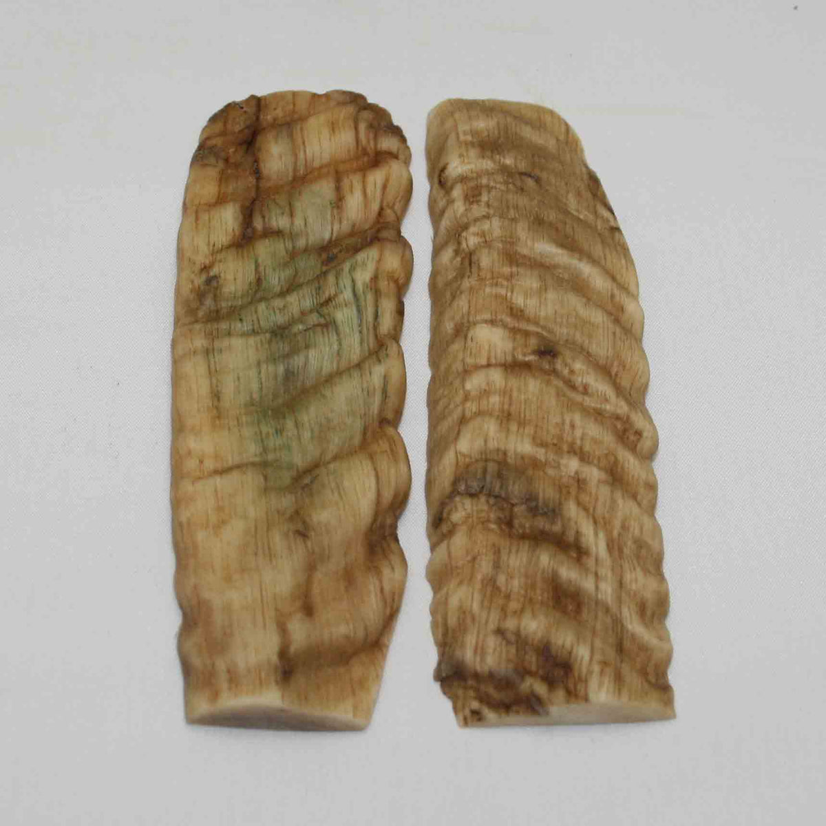 NB903NA75 Merino Ram's Horn Flat Block Scales Size: 5.11" x 1.53" x 0.14"inch