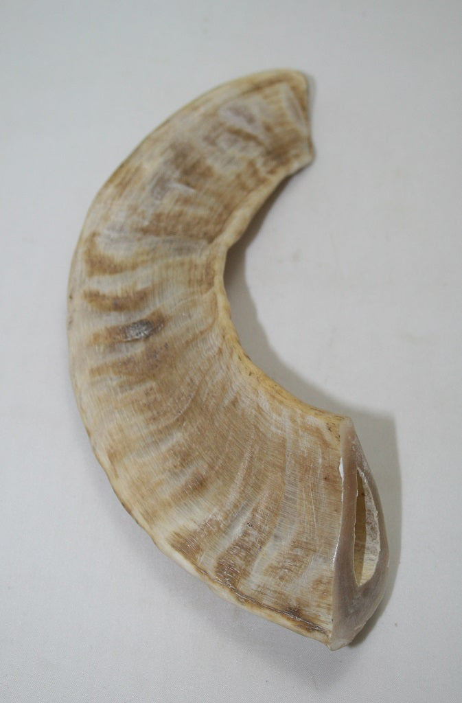 NB904MAN26 Merino Ram Horn Tip