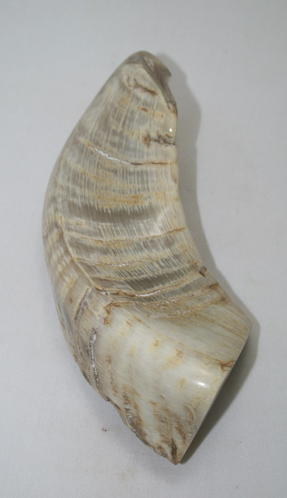 NB904MAN27 Merino Ram Horn Tip