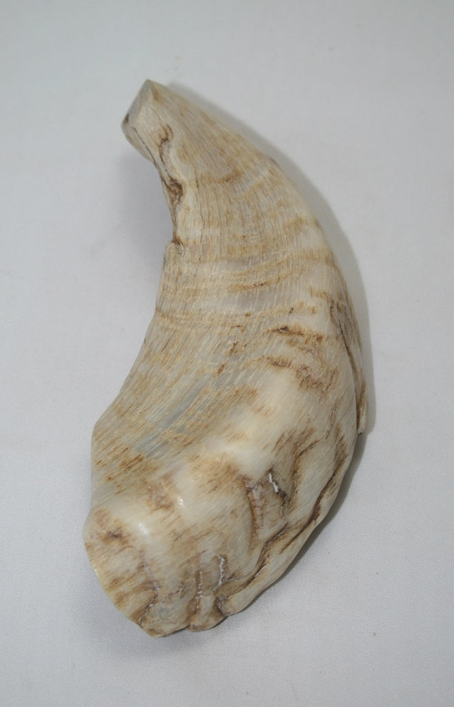 NB904MAN33 Merino Ram Horn Tip