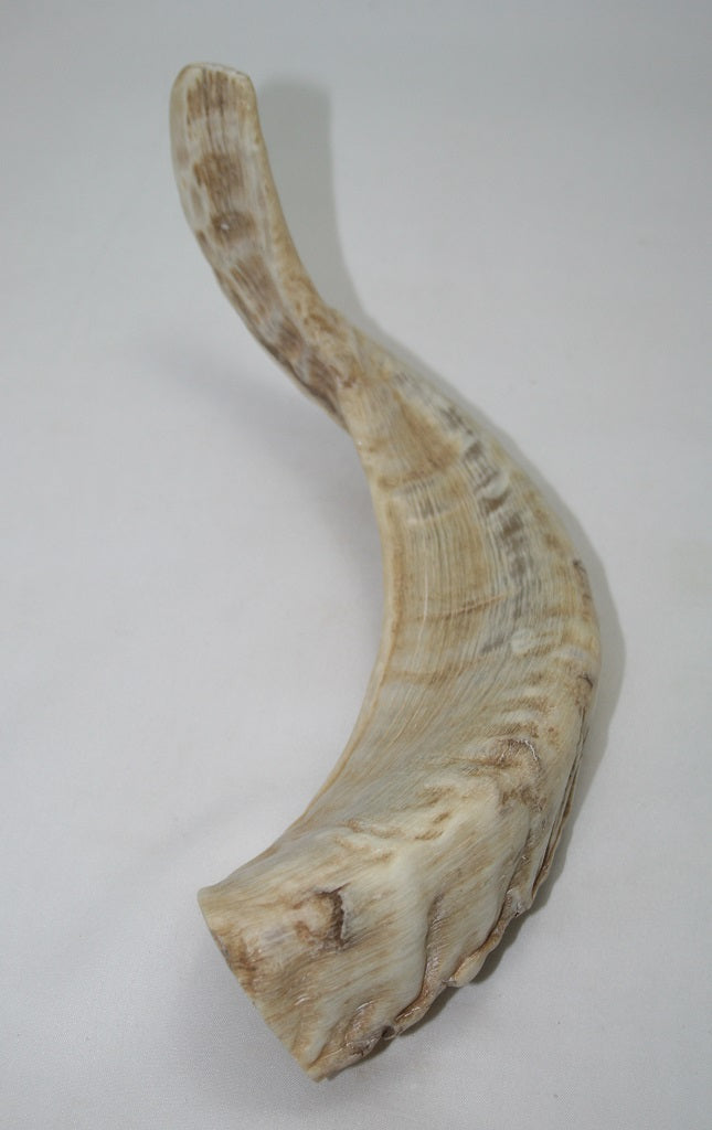 NB904MAN37 Merino Ram Horn Tip