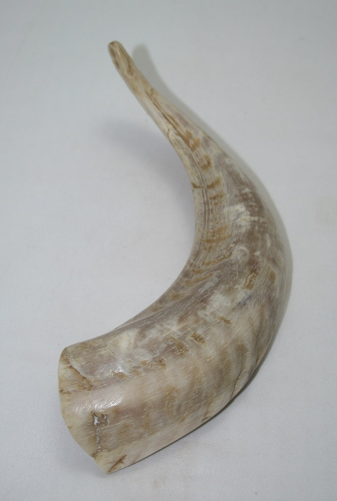 NB904MAN38 Merino Ram Horn Tip