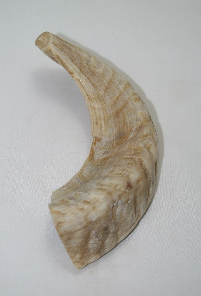 NB904MAN40 Merino Ram Horn Tip