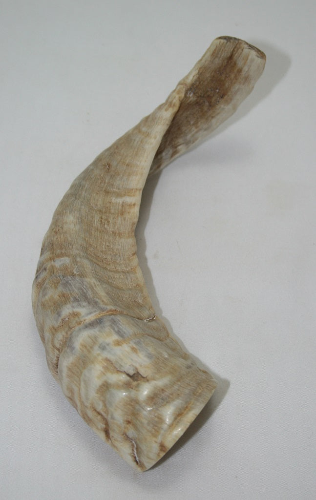 NB904MAN4 Merino Ram Horn Tip