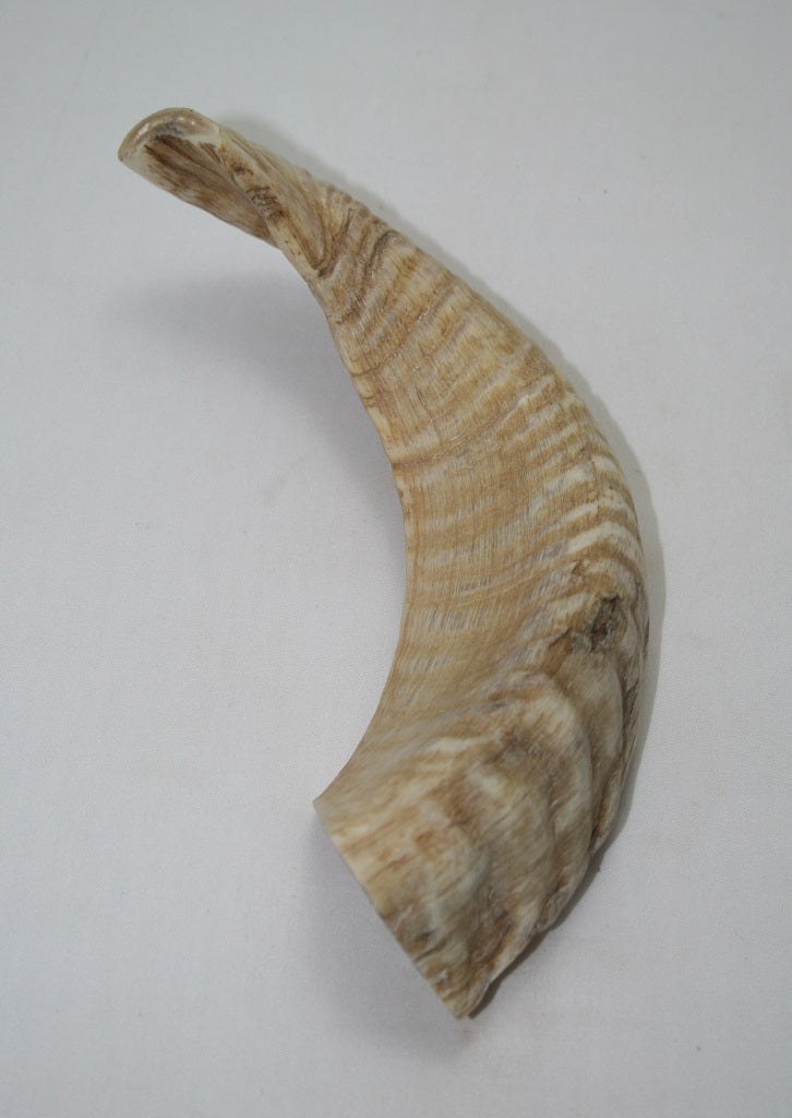 NB904MAN5 Merino Ram Horn Tip