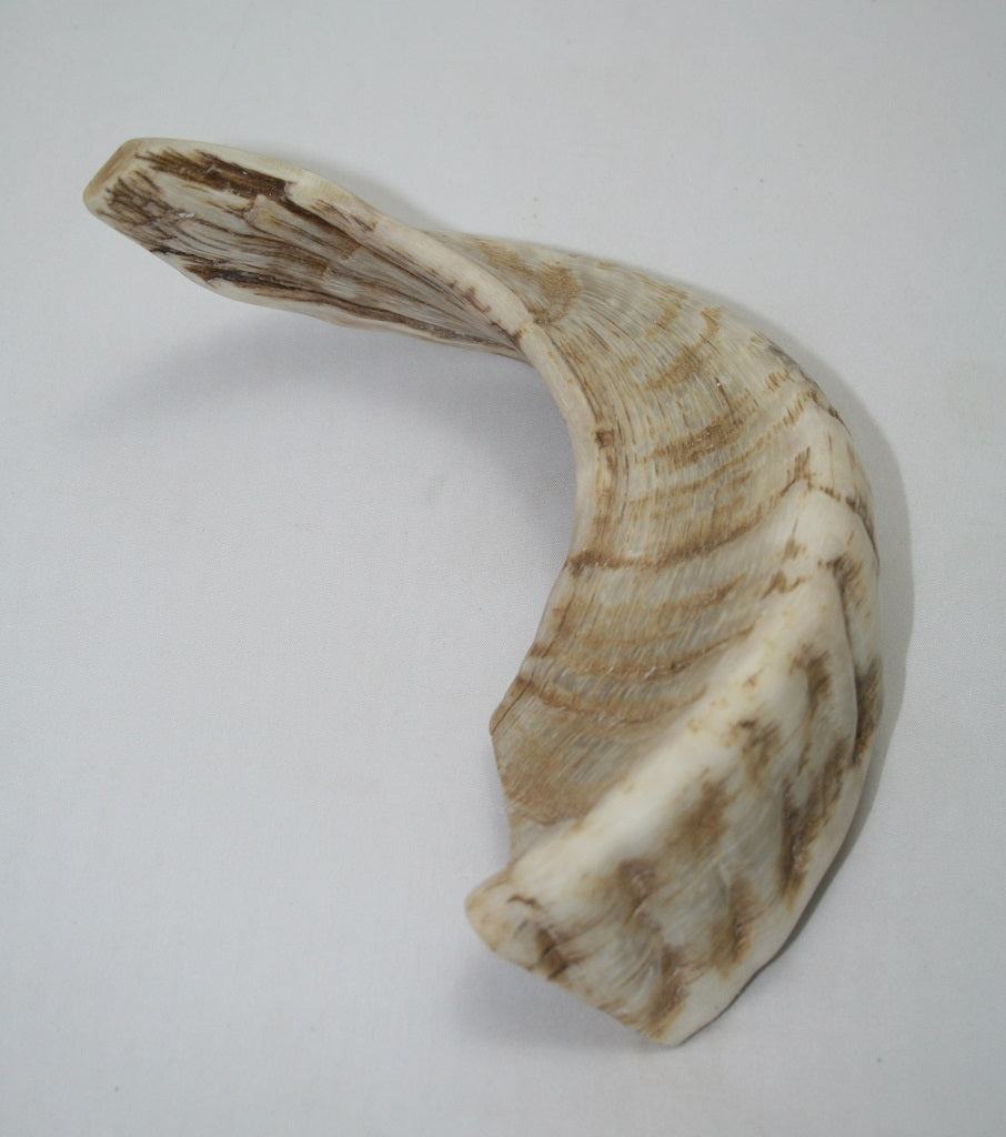 NB904MAN6 Merino Ram Horn Tip