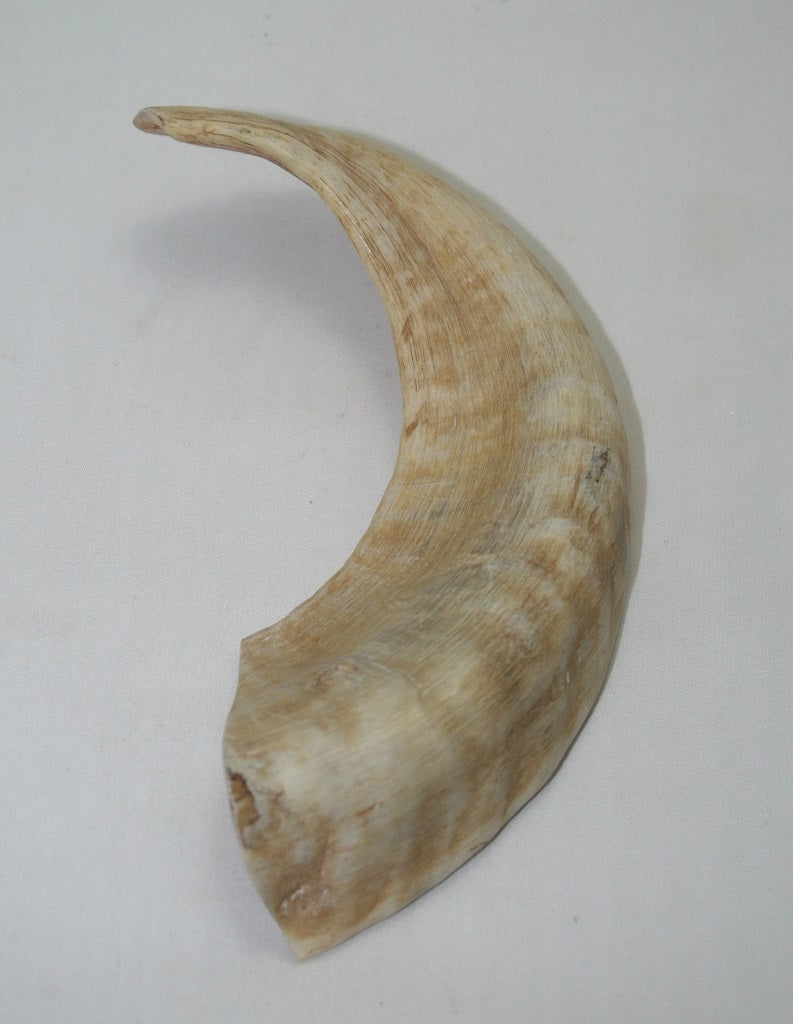 NB904MAN7 Merino Ram Horn Tip