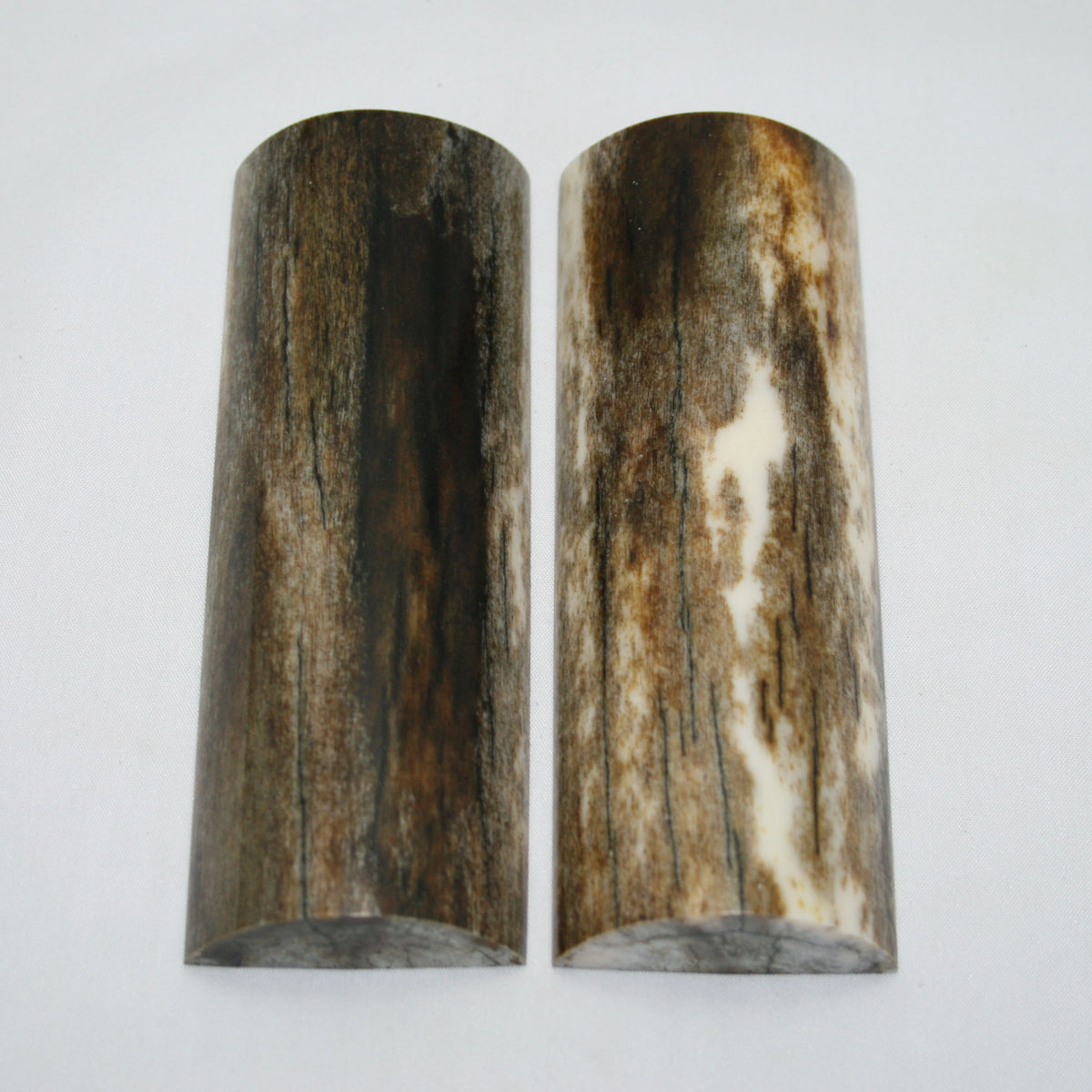 NB108MAN127 Giraffe Bone Scales