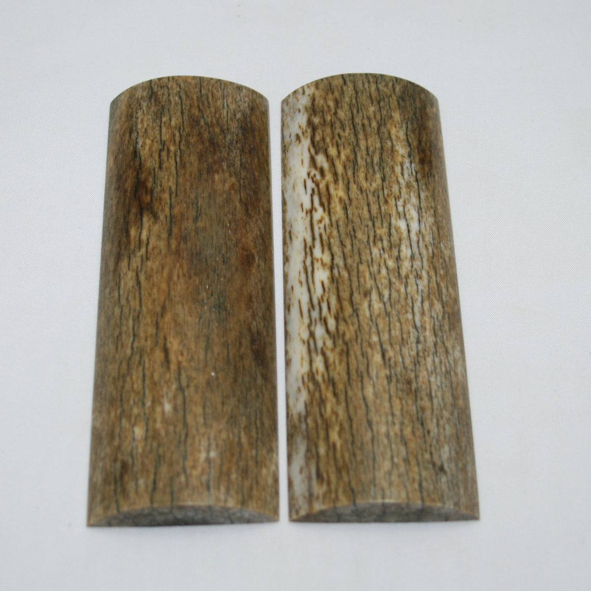 NB108MAN77 Giraffe Bone Scales