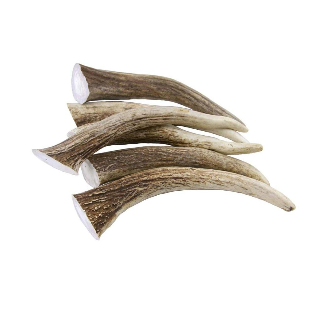 Axis Tines