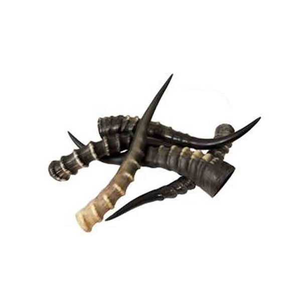 BlesbokHornskuNBU301_600x.jpg?