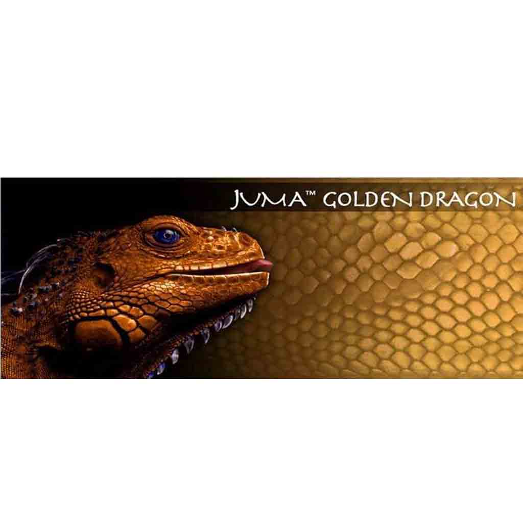 Hoback Radford Knife Golden Dragon Juma - Blade HQ