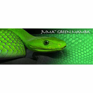 Green Mamba Snake Juma - Jantz Supply 
