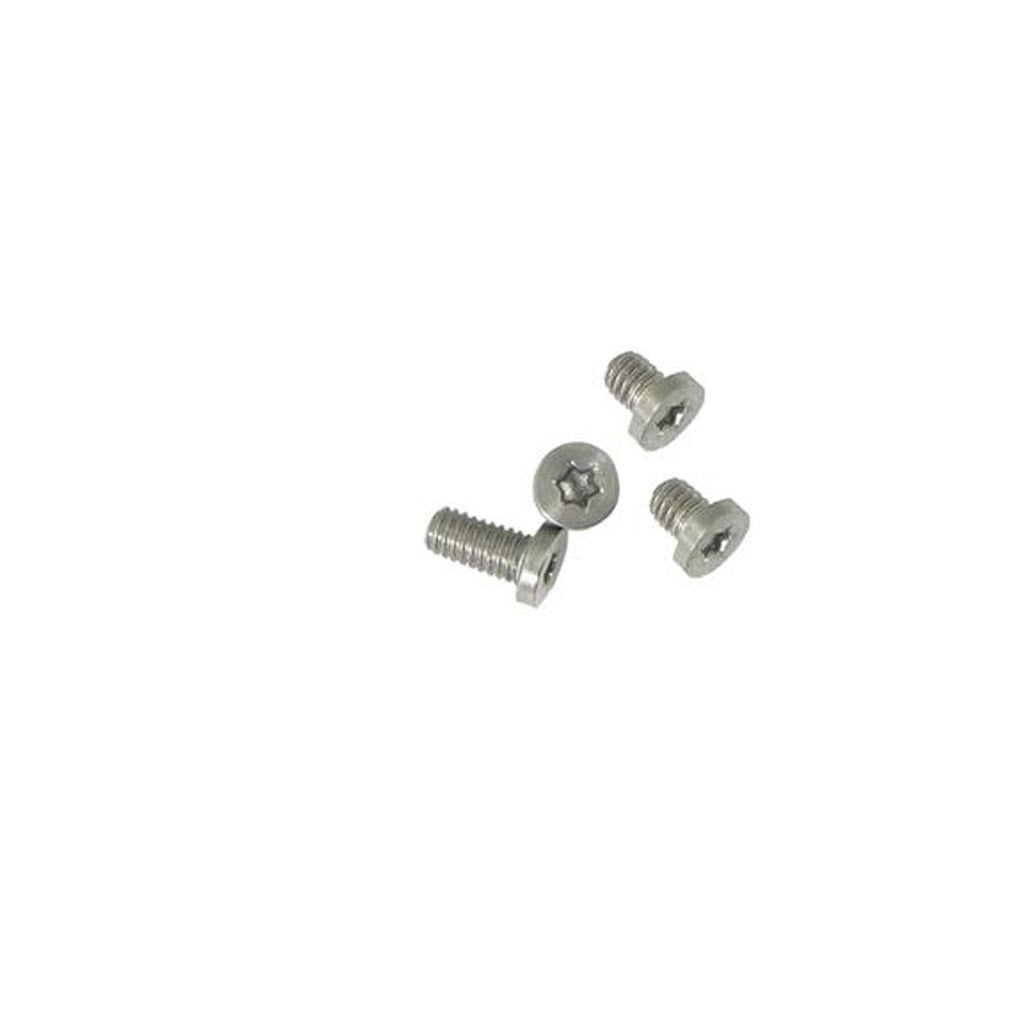 Handle Replacement Screws