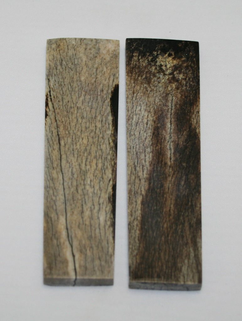 NB104AY76  Giraffe Bone Scales