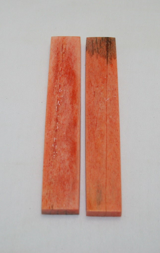 NB102AYA11  Giraffe Bone Scales