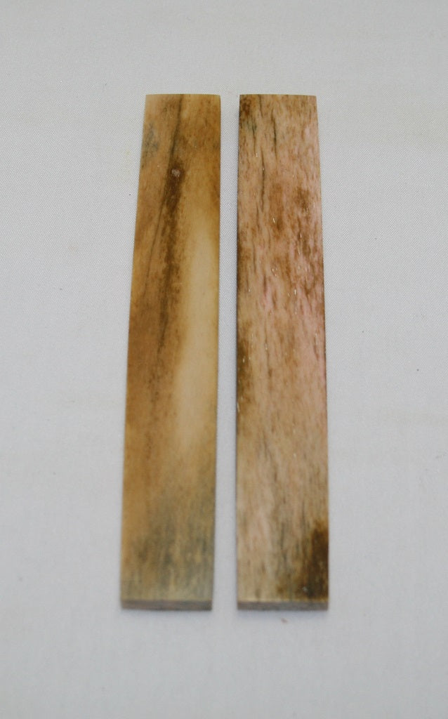 NB102AYA19  Giraffe Bone Scales