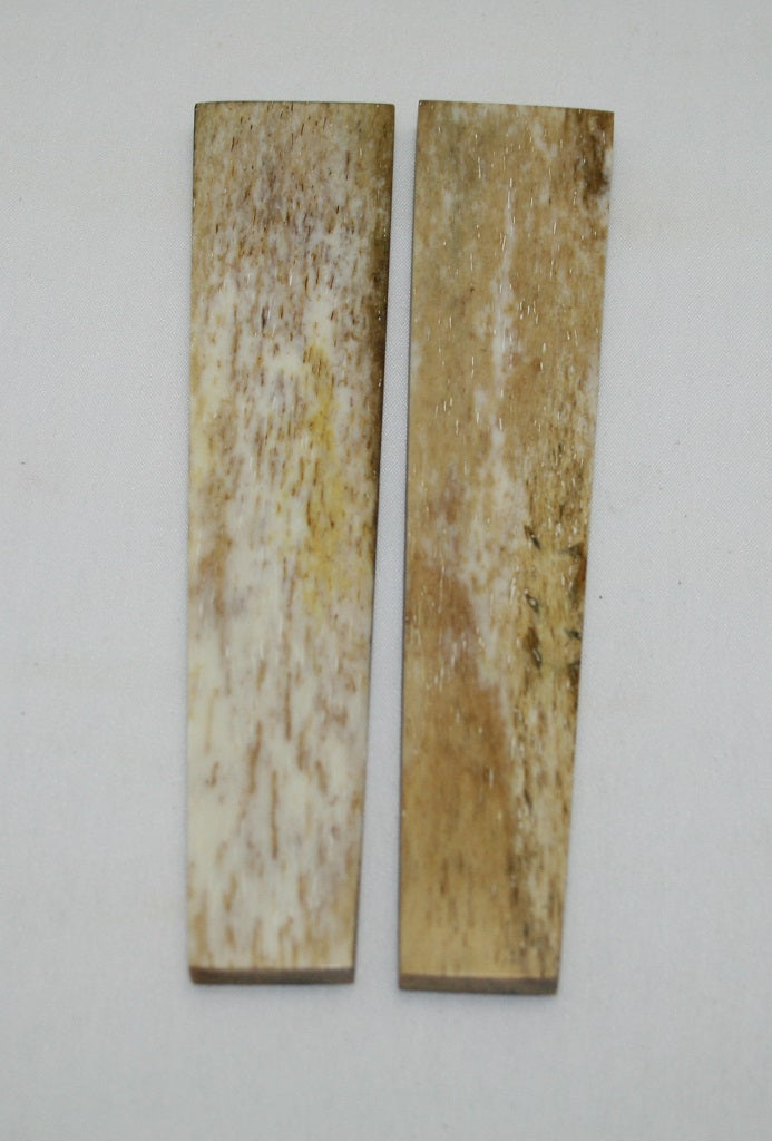 NB102F15  Giraffe Bone Scales